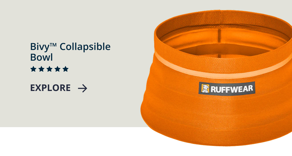 Bivy™ Collapsible Dog Bowl with 5 stars and the words EXPLORE