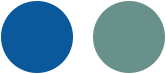 The colors of the Hi & Light Shoes