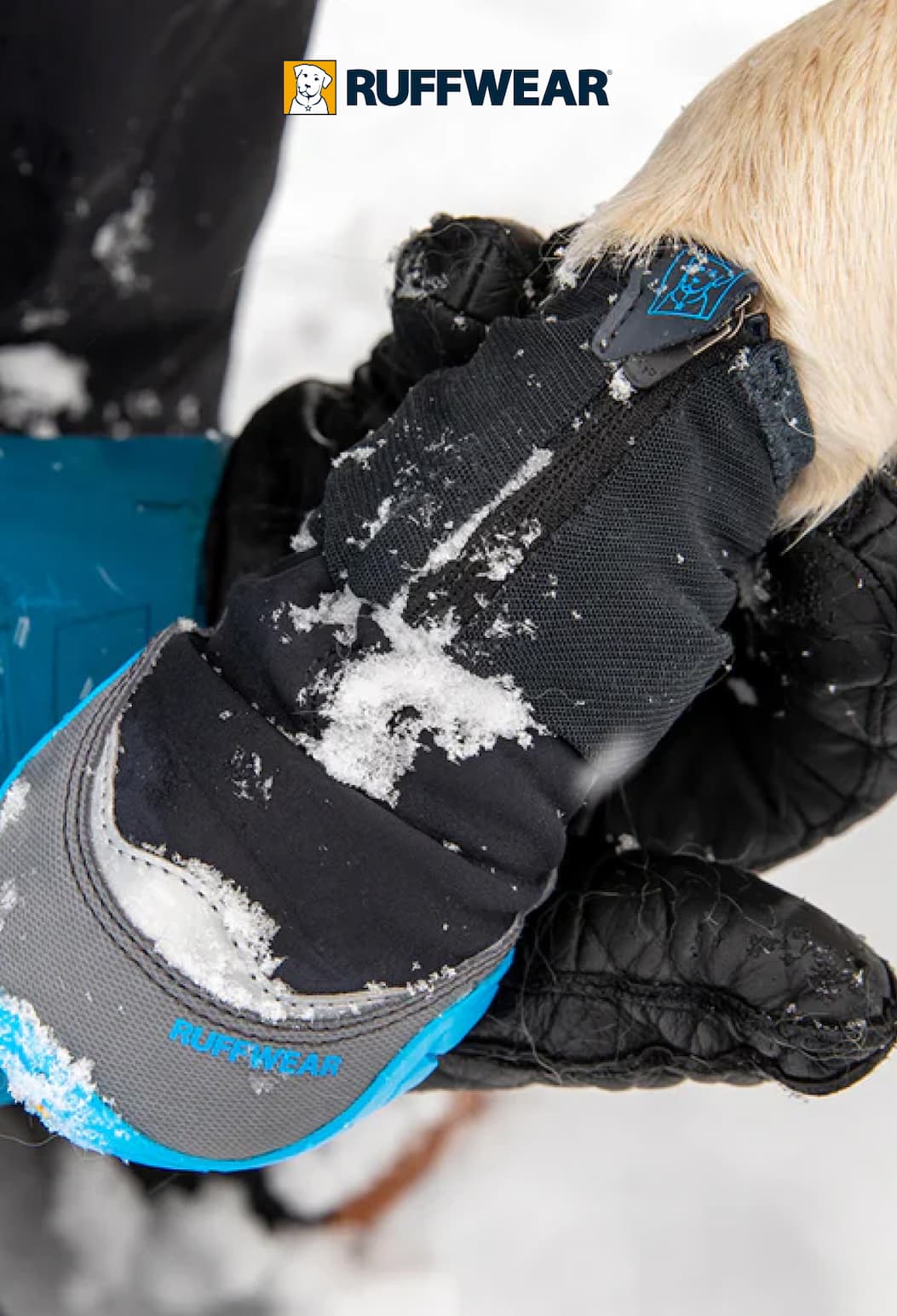 A human holds up a dog paw wearing the Polar Trex™ Boots