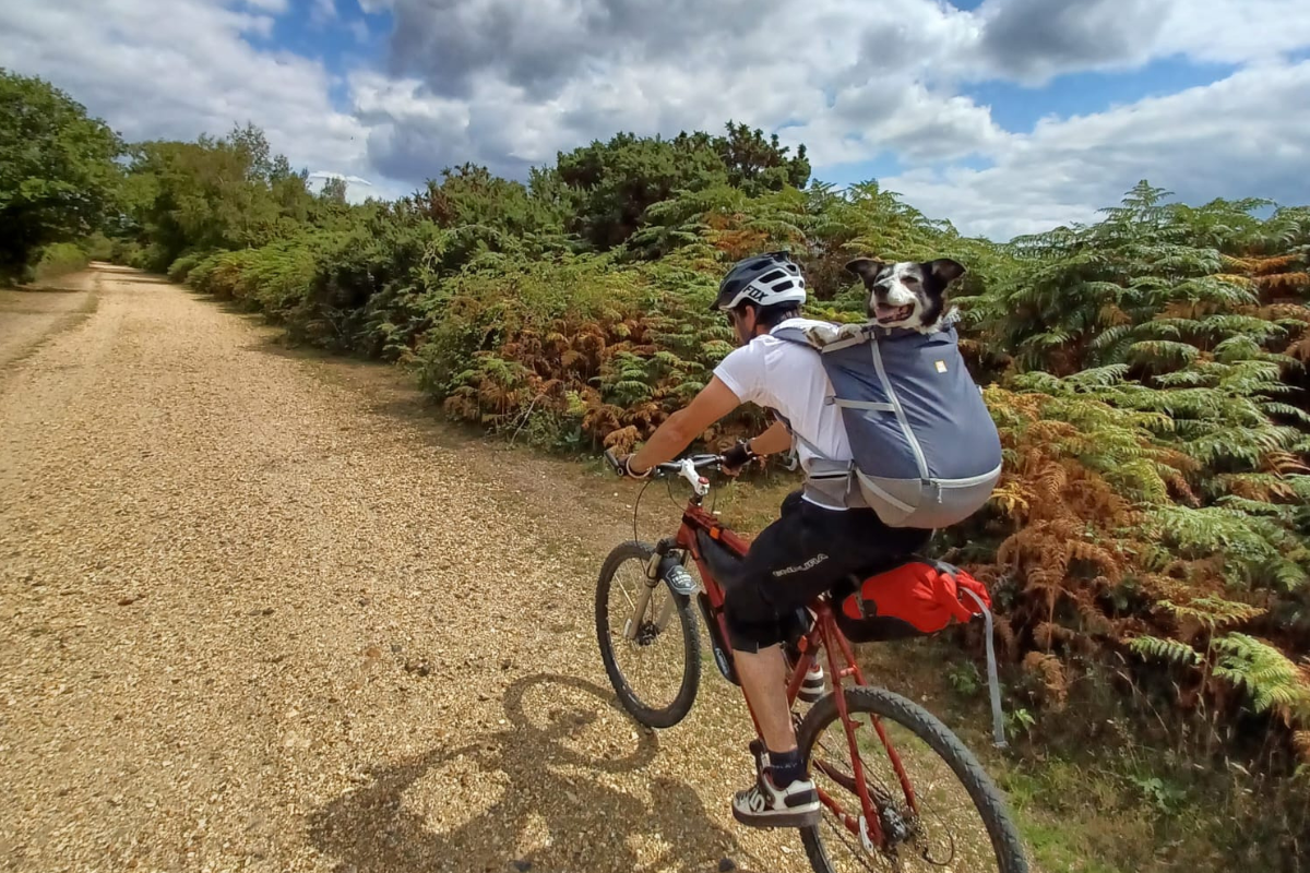 A human and a senior dog ride on a dirt trail together.