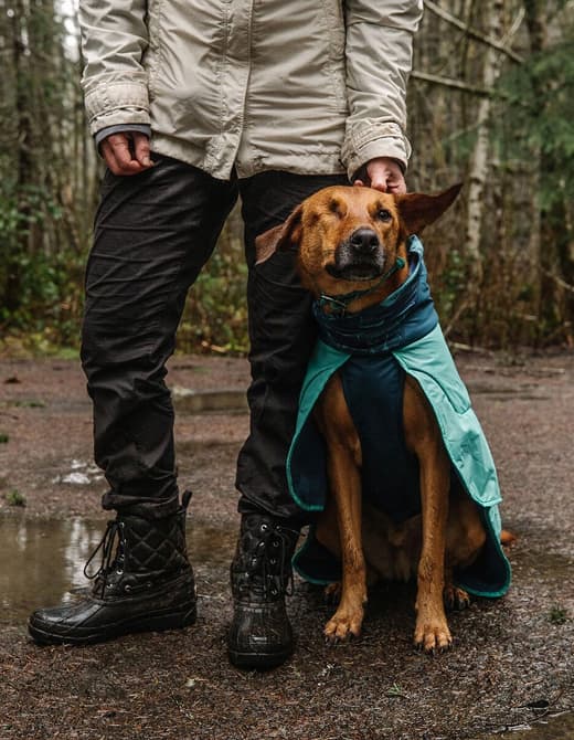 A dog wears a Dirtbag™ Towel after a fun, muddy adventure