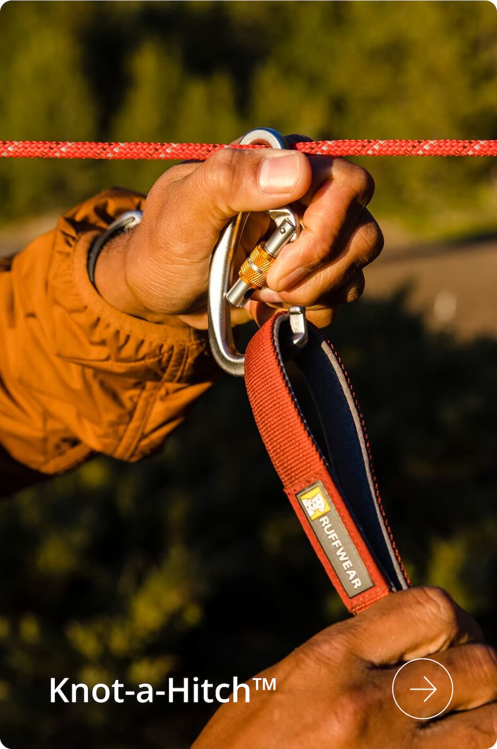 A human adjusts the Knot-a-Hitch™