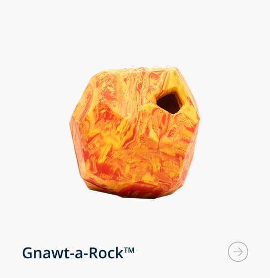 Gnawt-a-Rock™ in Salamander Orange