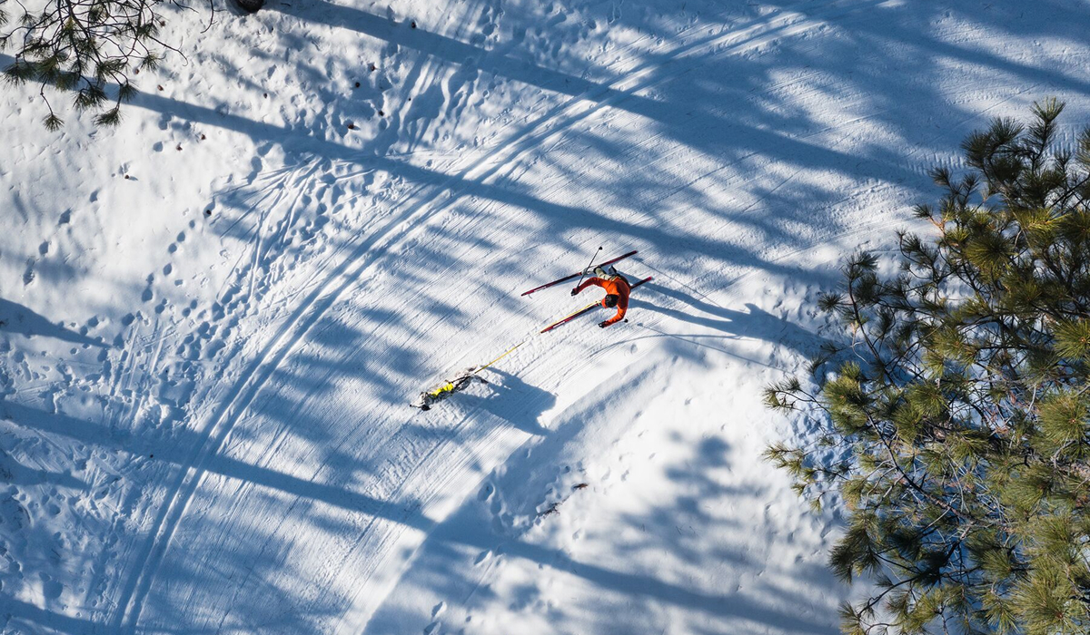 An aerial view of a human and dog joring together in the snow.