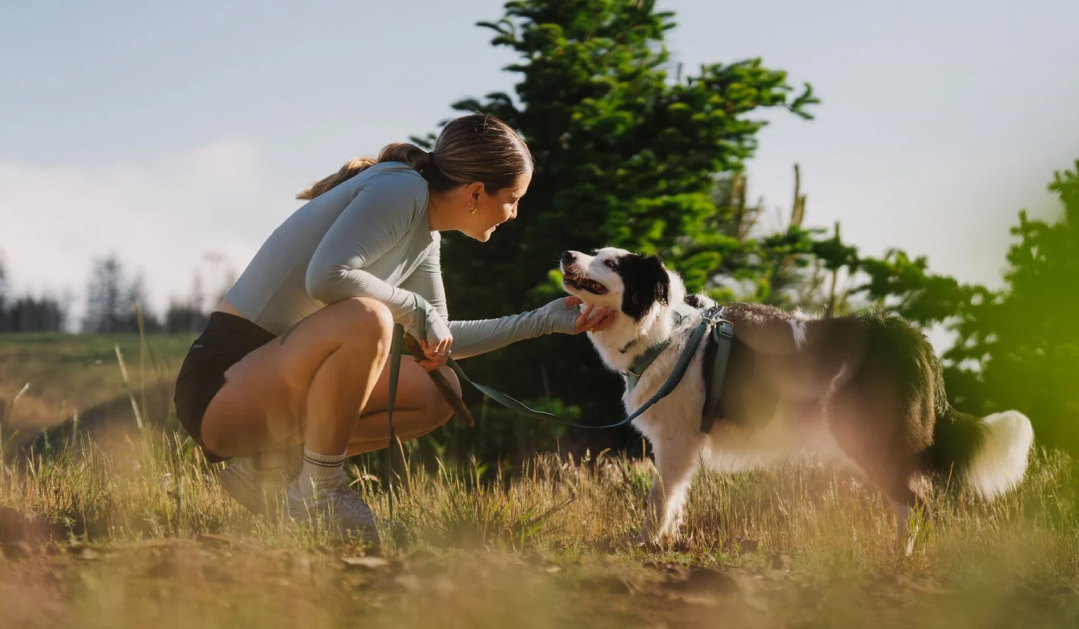 A dog and their human warmly connecting in an open field