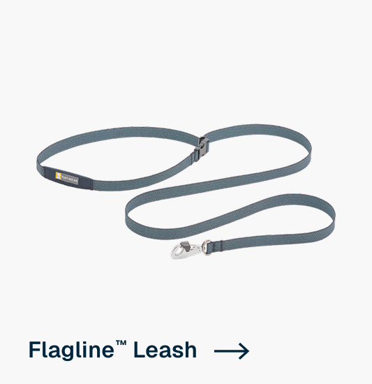 Flagline™ Leash in Basalt Gray