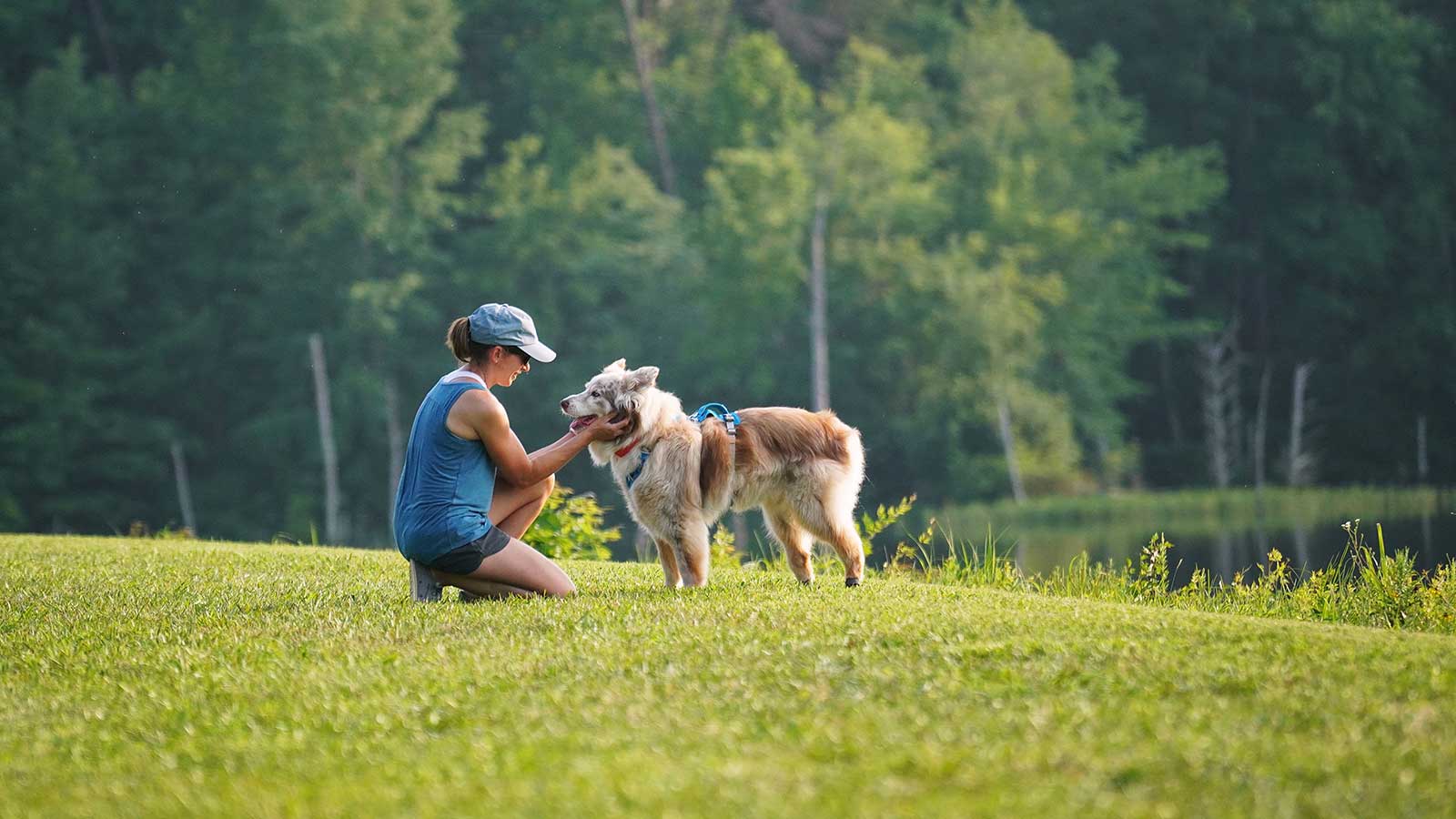 A human and senior dog share a moment on the grass.