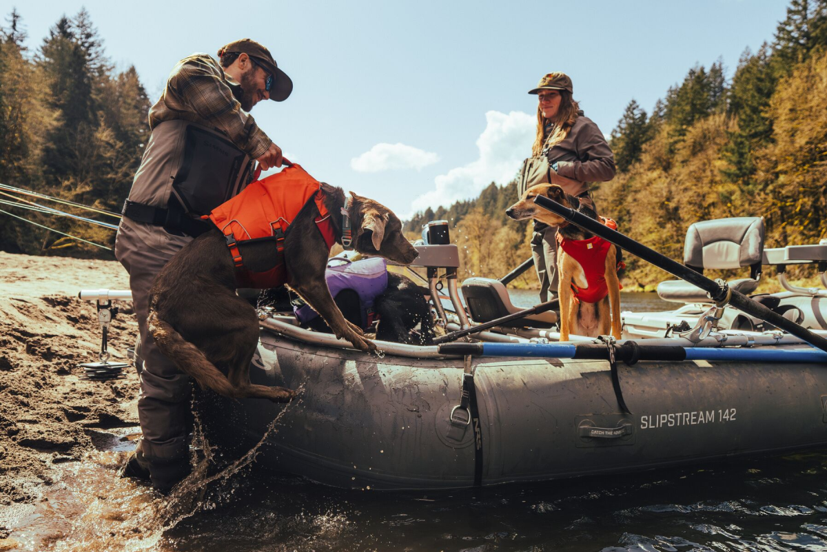 A dog being lifted out of the water by the handle of their jacket into a docked raft