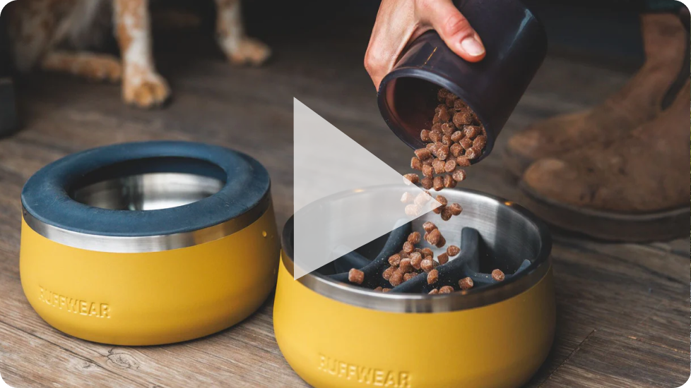 A press play icon is over the image of kibble being poured into the bowl