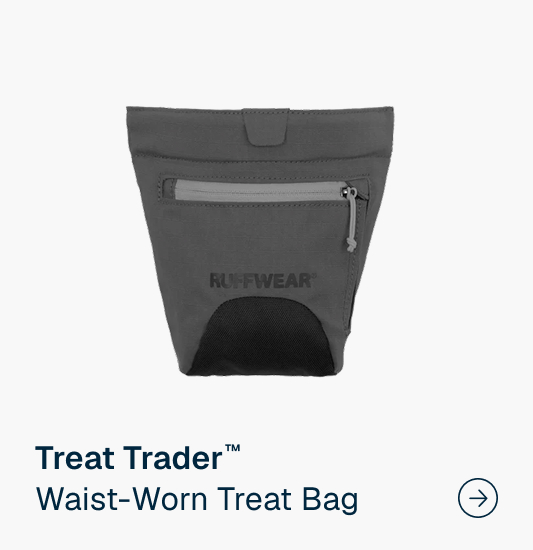 Treat Trader™ Dog Treat Pouch