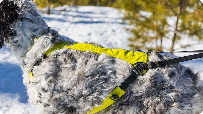 A close up shot of the Omnijore™ Joring System dog harness.
