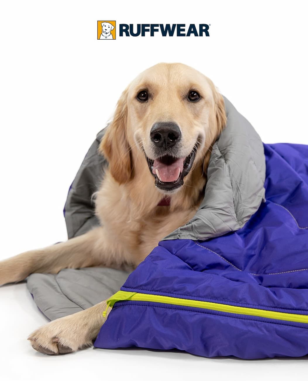 A dog sits in the Highlands™ Sleeping Bag
