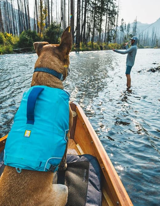 A dog wears a Confluence Collar™ while on a boat with their human fishing.