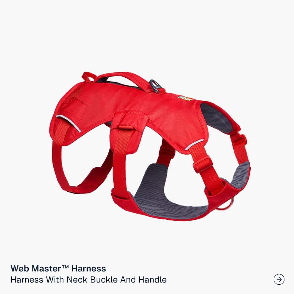 Web Master™ Dog Harness with Handle