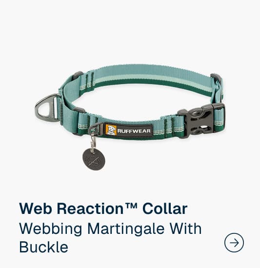 Web Reaction™ Martingale Dog Collar With Buckle