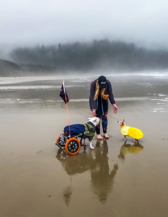 Wendy, Jack and Jill play on the beach together.