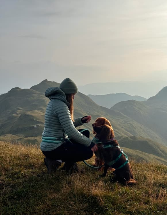 Hollie, Hugo & Spencer enjoy a sunset together