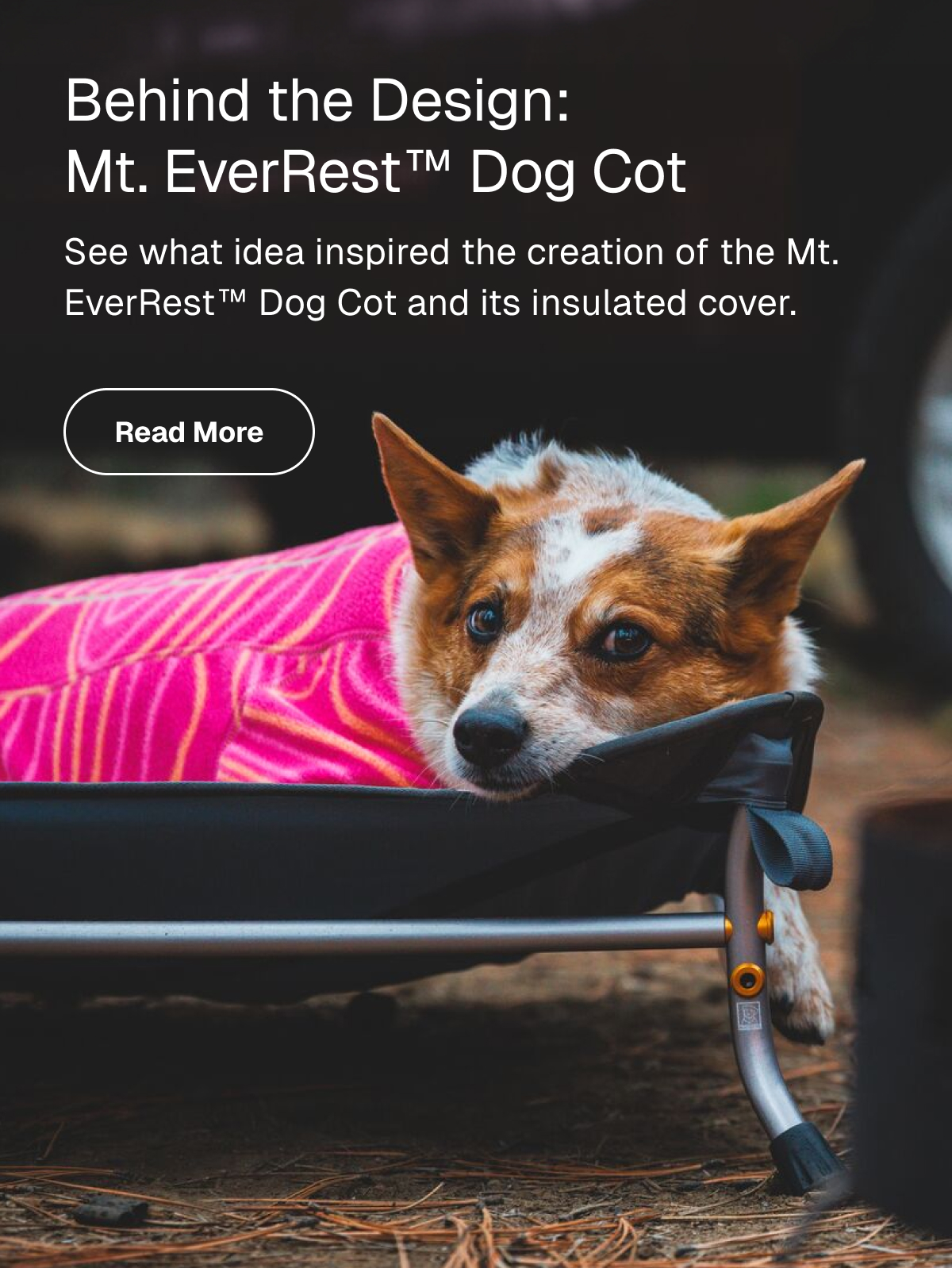 Behind the Design of the Mt EverRest™ Dog Bed & Cot Cover