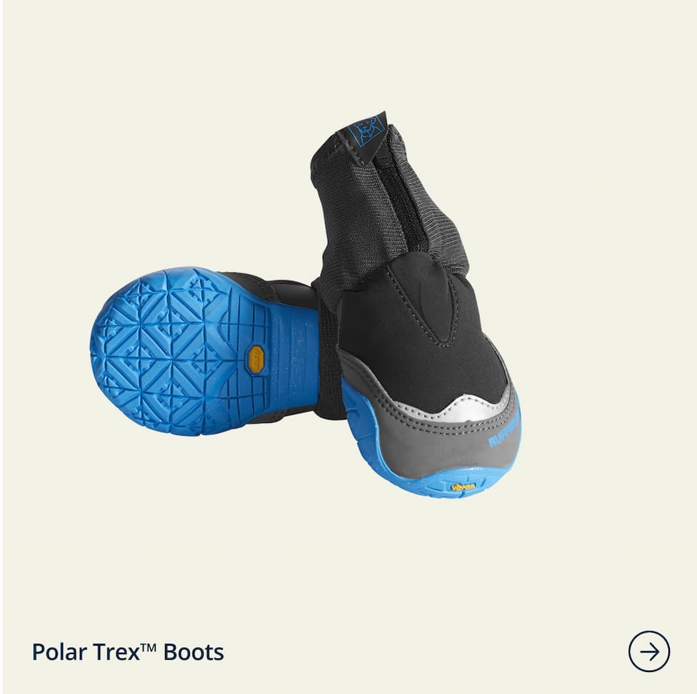Polar Trex Boots in Obsidian Black