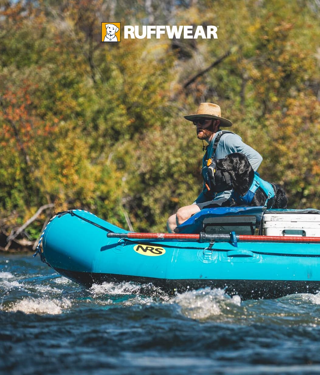 A pup and its human raft together.