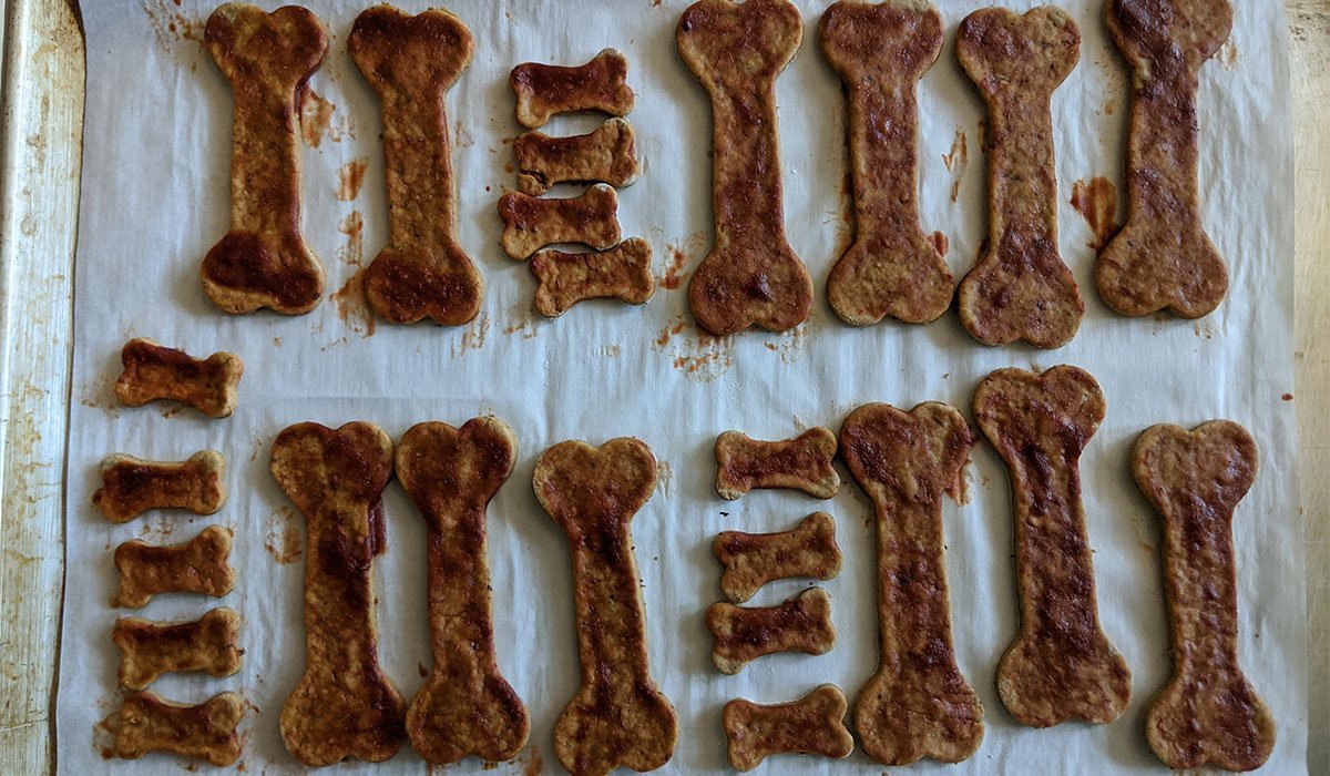 Some homemade dog treats laid out on a baking tray.