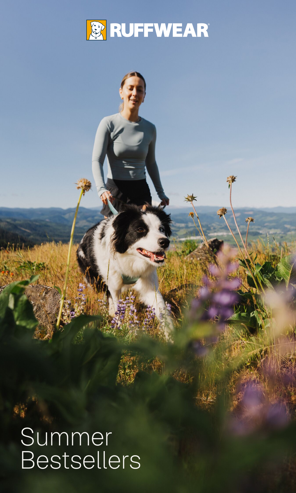 dog and human roaming mountain view flowing fields together