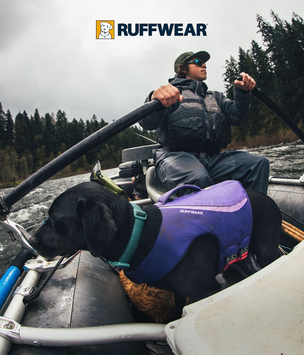 A dog wearing a Float Coat rides in a raft with their human.