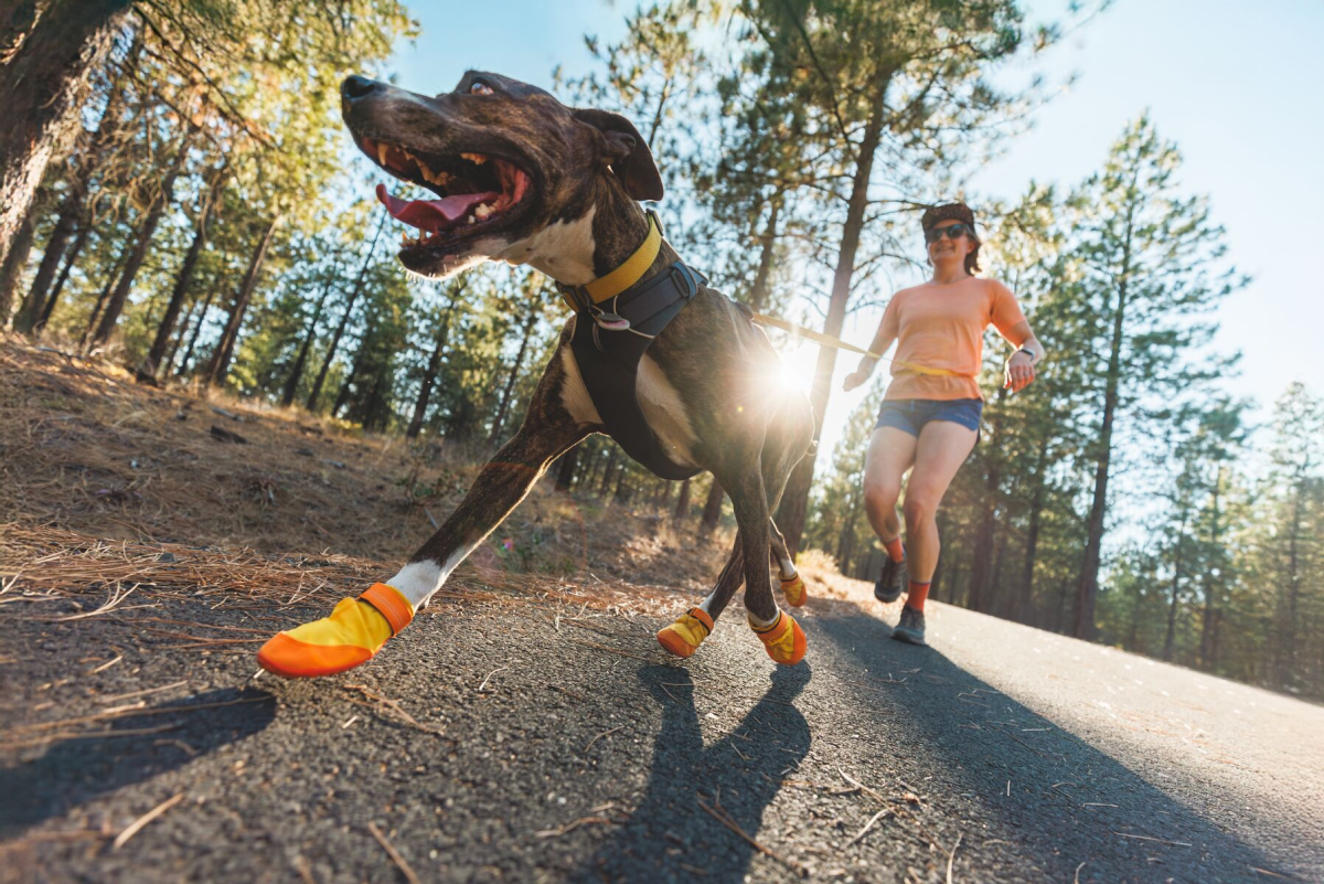 A close up of a dog in their boots and their human running on hot summer pavement