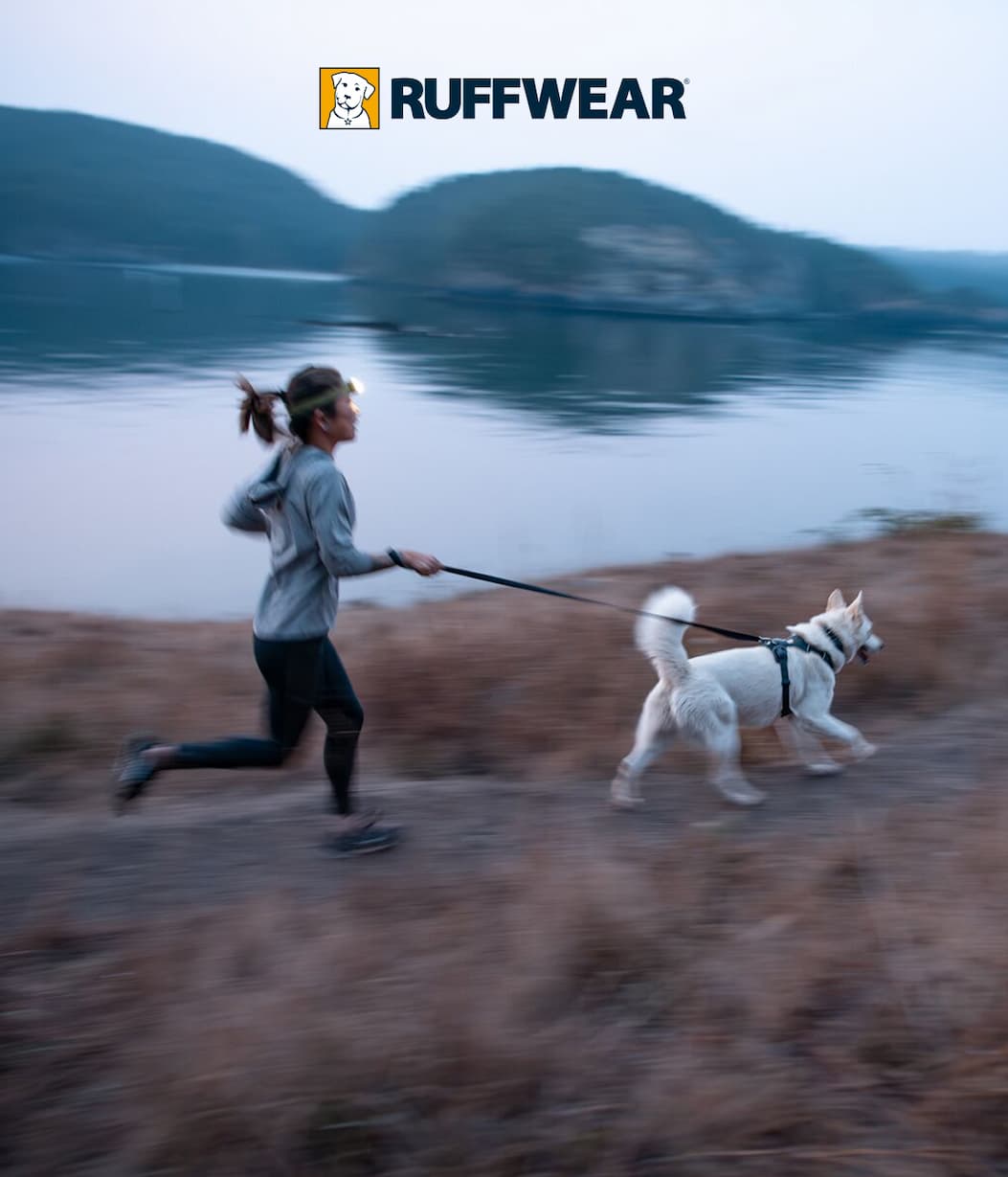 A human and dog run at dawn in a Basalt Gray Front Range set.