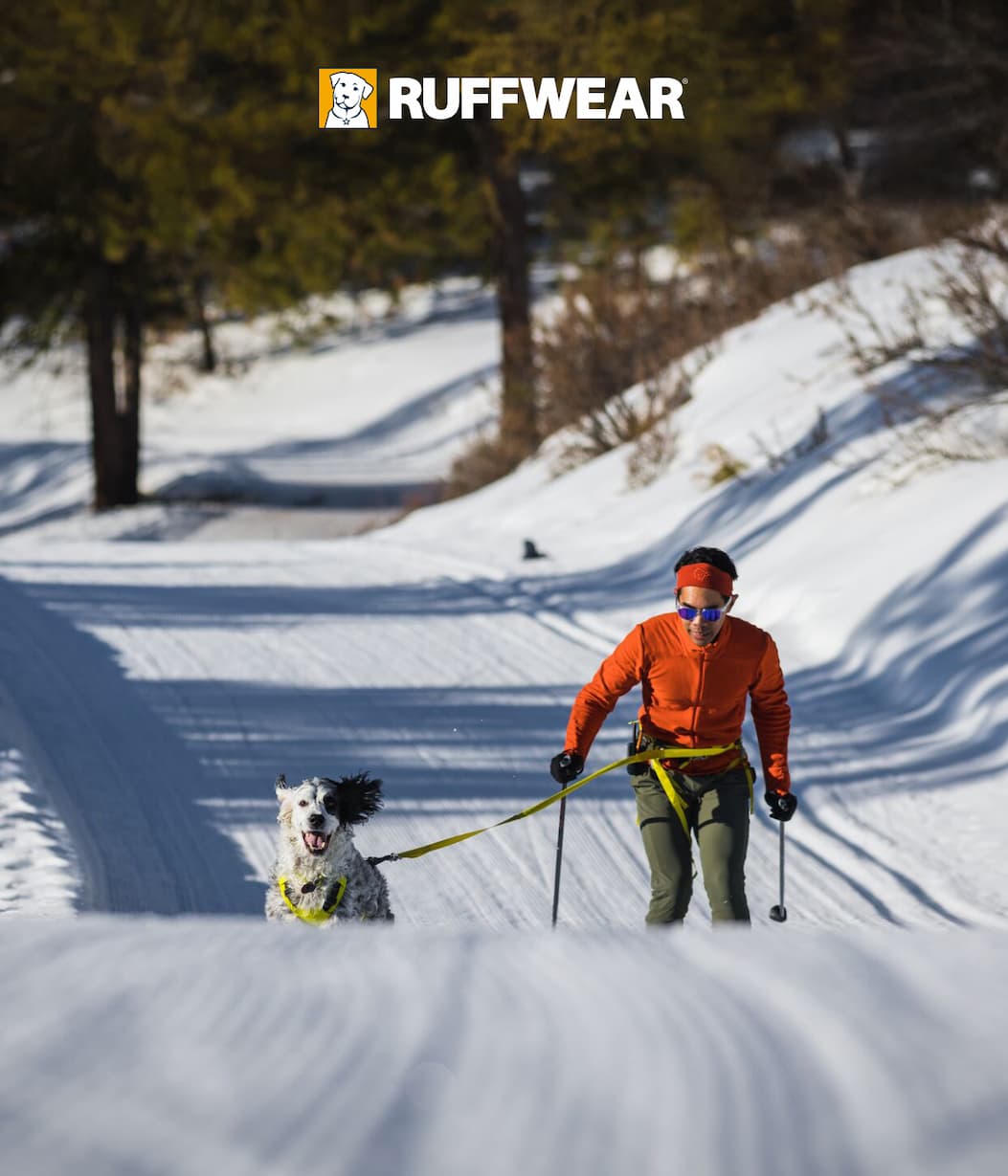 A human and dog skijore together on a beautiful sunny day.
