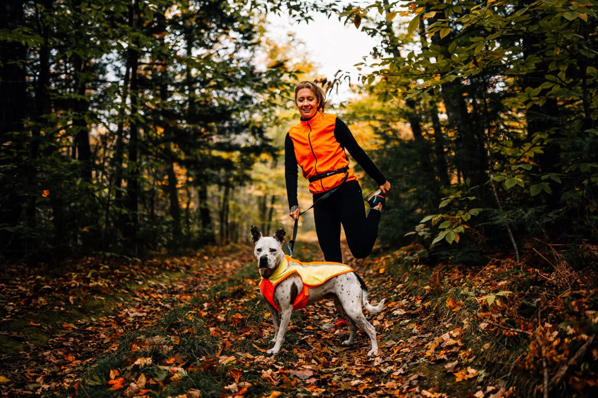 A dog wearing a High Vis Lumenglow matches their human on the fall trail