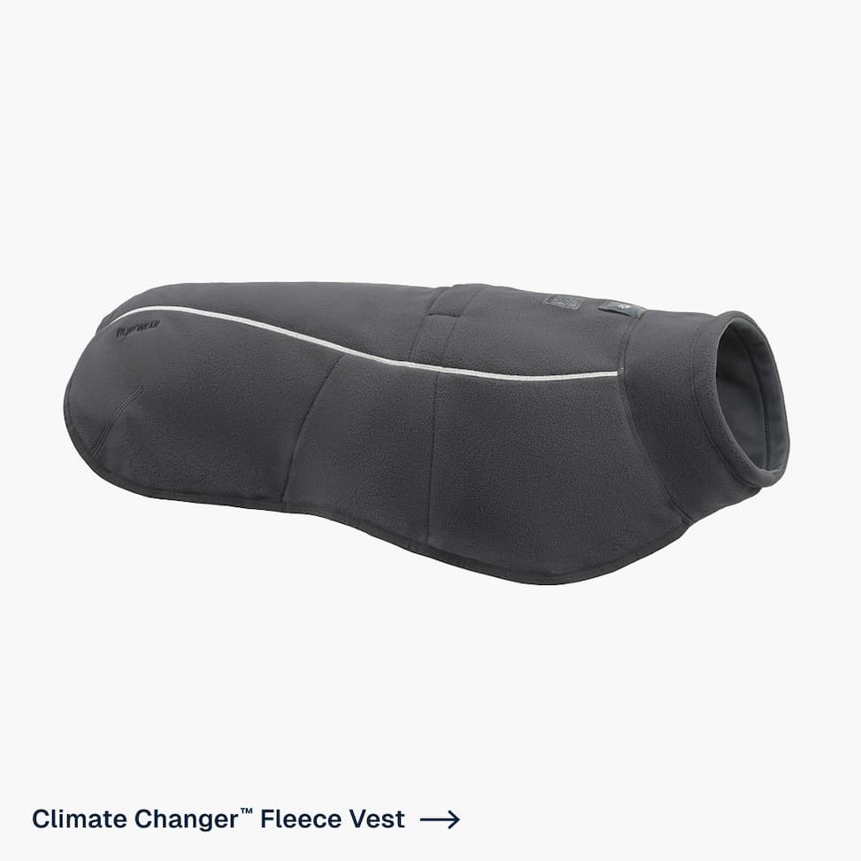 Climate Changer™ Fleece Vest in Basalt Gray