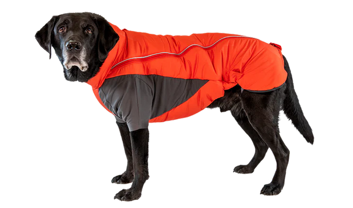 Furness™ Dog Jacket in Red Sumac