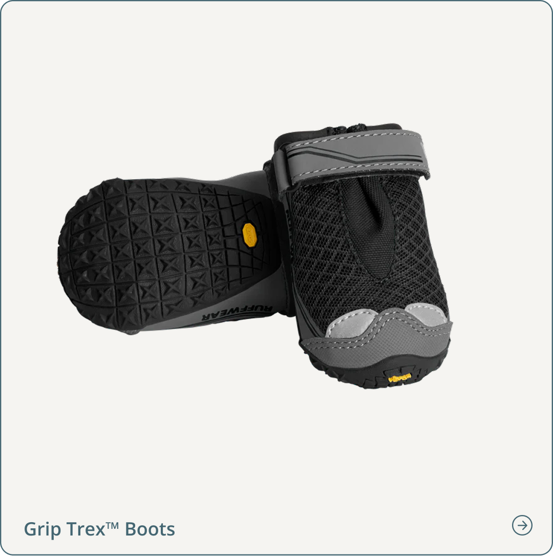 Grip Trex™ Dog Boots in Obsidian Black