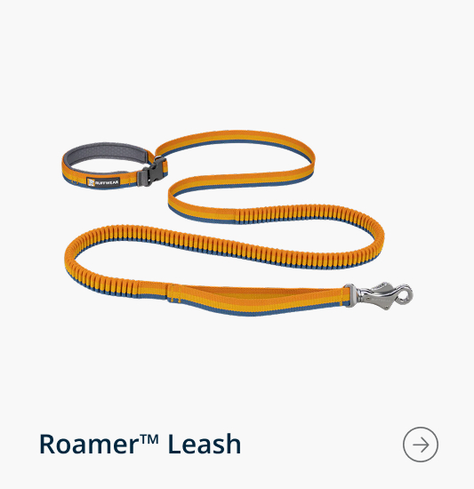 The Roamer™ Leash in Yellow Snow