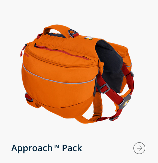 The Approach™ Pack in Campfire Orange