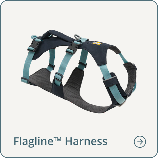 Flagline™ Dog Harness with Handle in Basalt Grey