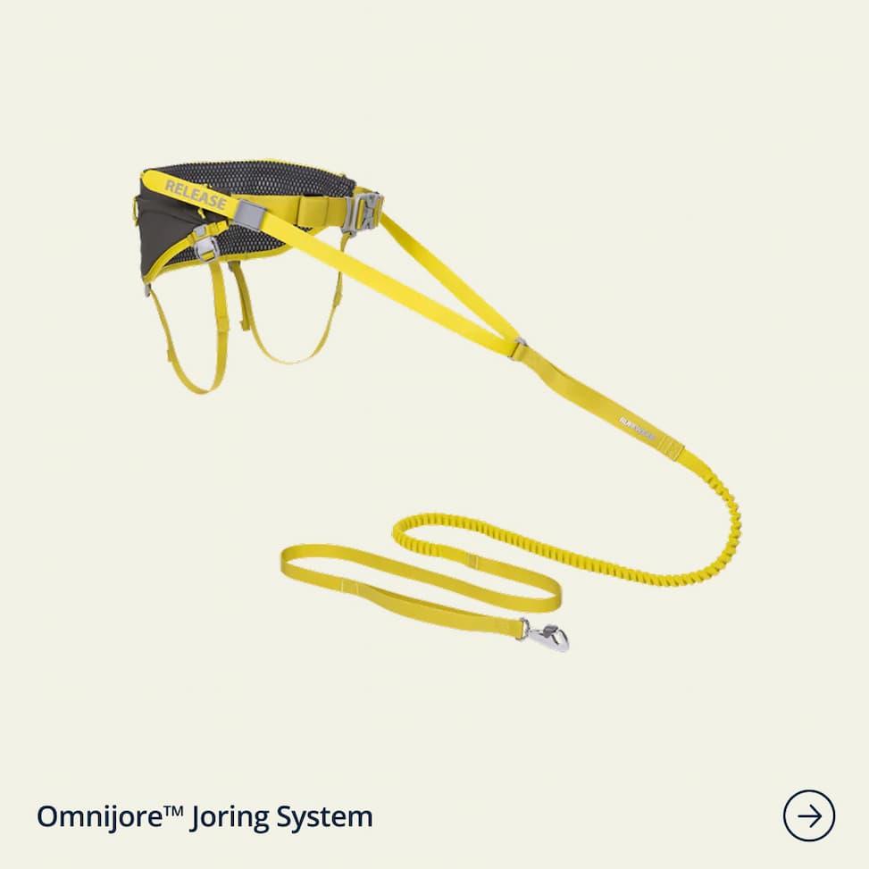 Omnijore™ Dog Joring System in Lichen Green
