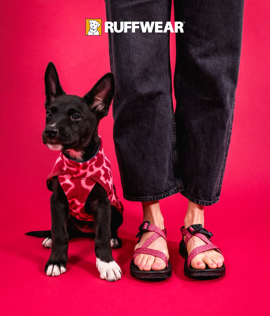 A human and dog stand next to each other wearing Chacos and a Climate Changer Vest.