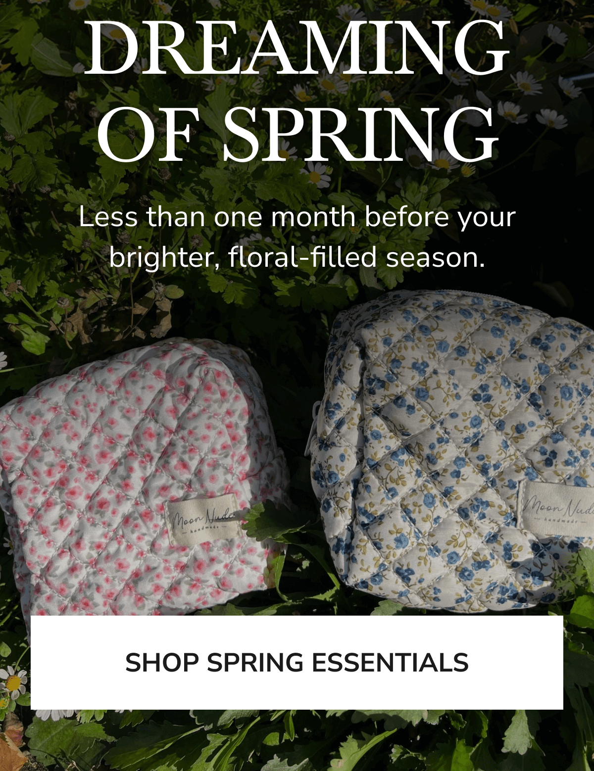 an image of two blankets on a bed with the words dreaming of spring