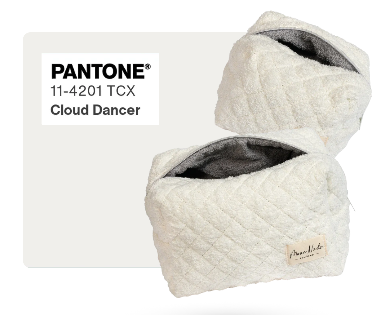 PANTONE 11-4201 TCX Cloud Dancer