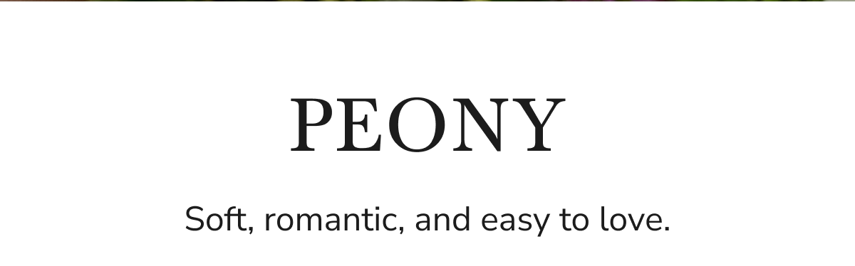 PEONY - Soft, romantic, and easy to love.