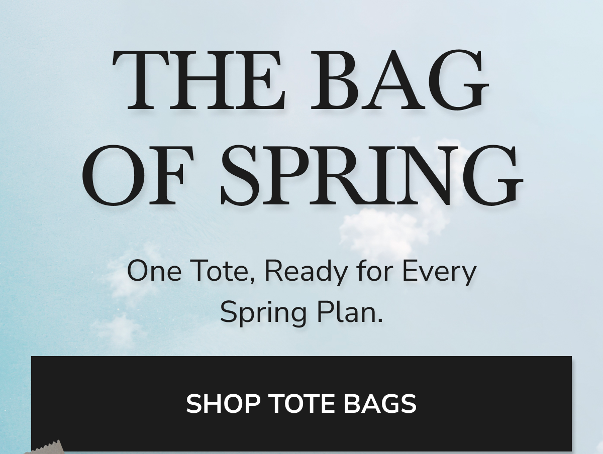 THE BAG OF SPRING