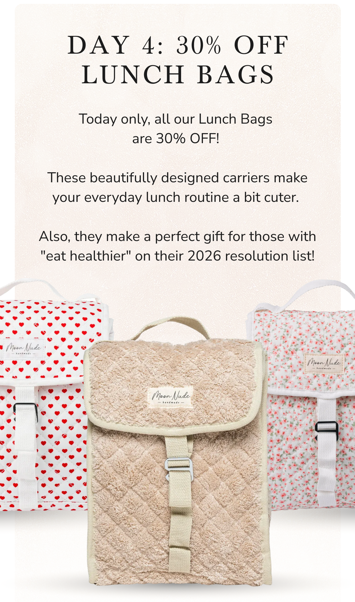 DAY 4: 30% OFF LUNCH BAGS Today only