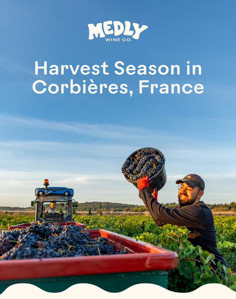 Harvest Season