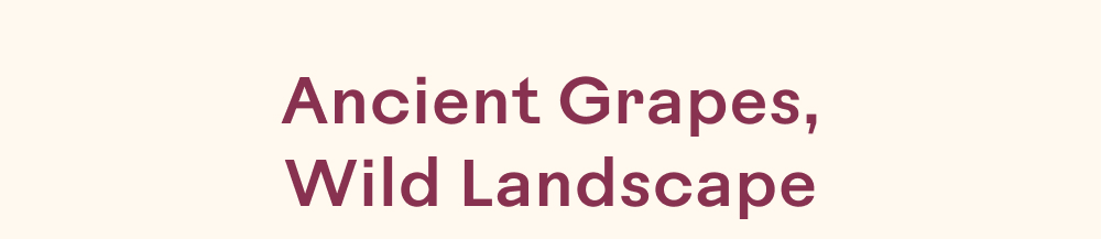 Ancient Grapes
