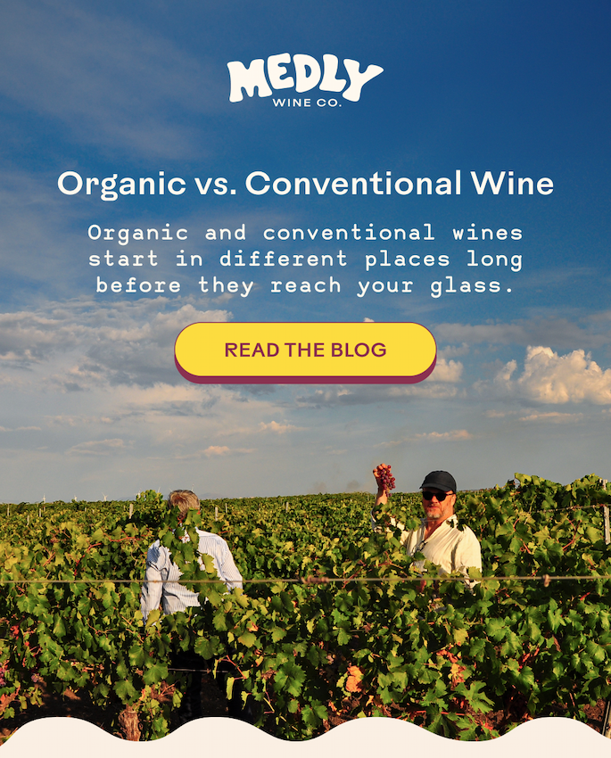Organic vs. Conventional Wine 