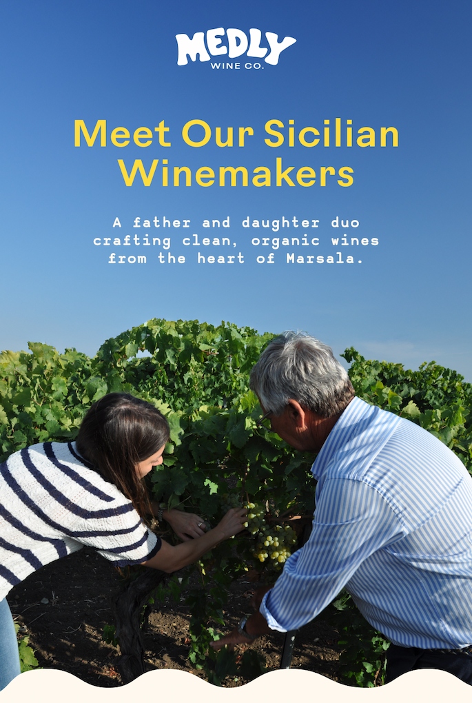Sicilian Winemakers