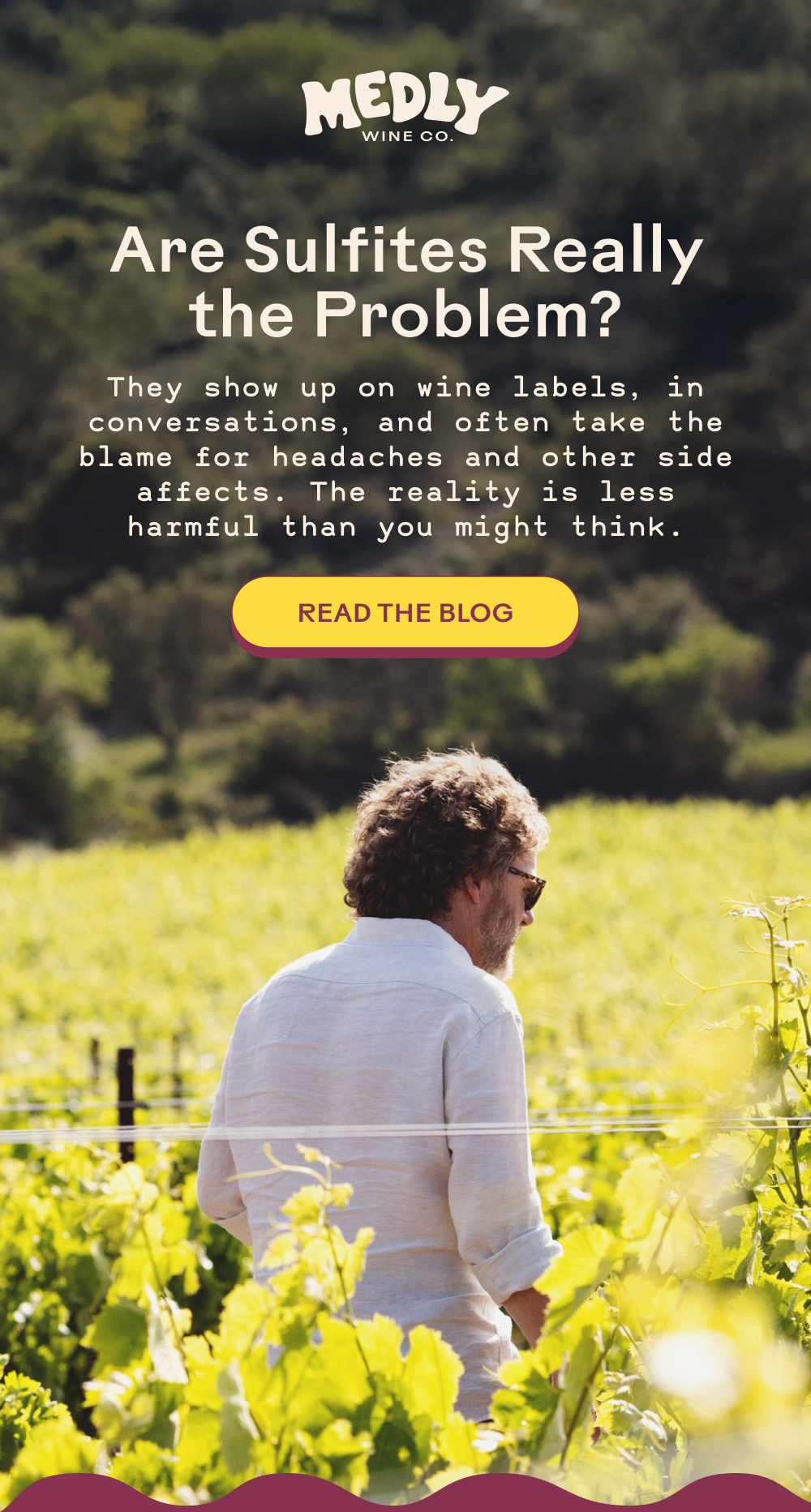 Read the Blog