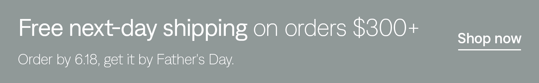 Free next-day shipping on orders $300+